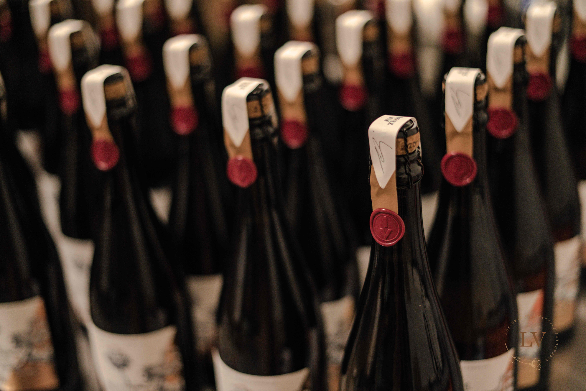 Zurück in der Heimat Zurück in der Heimat